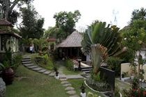 Villa Nirvana Bali Ubud  Ngoại thất bức ảnh